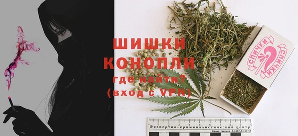 ешки Осинники