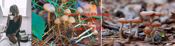 кристаллы Остров