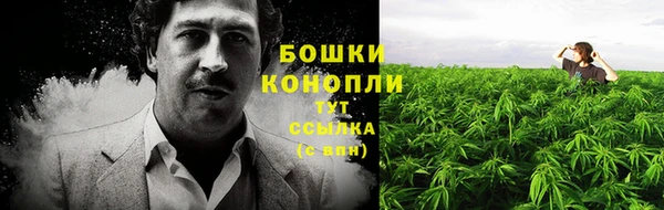 ешки Осинники