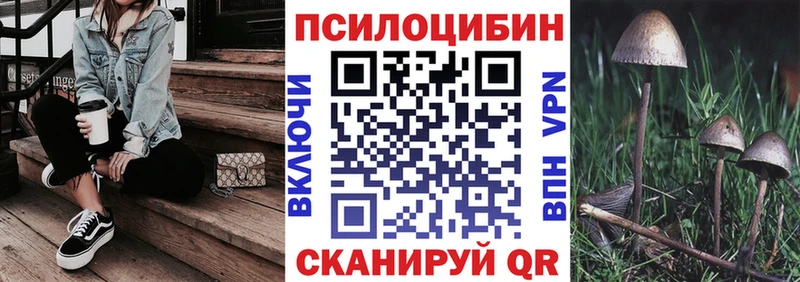 Галлюциногенные грибы мицелий наркотики blacksprut ССЫЛКА Морозовск