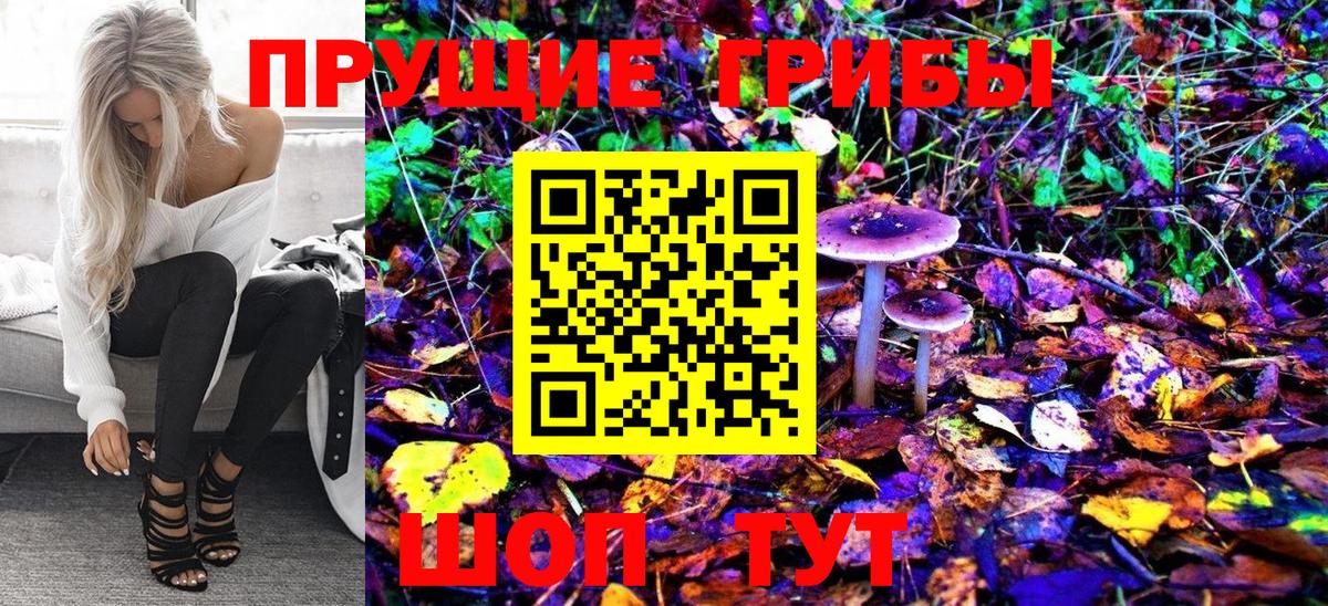 Галлюциногенные грибы Cubensis  Морозовск  Галлюциногенные грибы GOLDEN TEACHER 