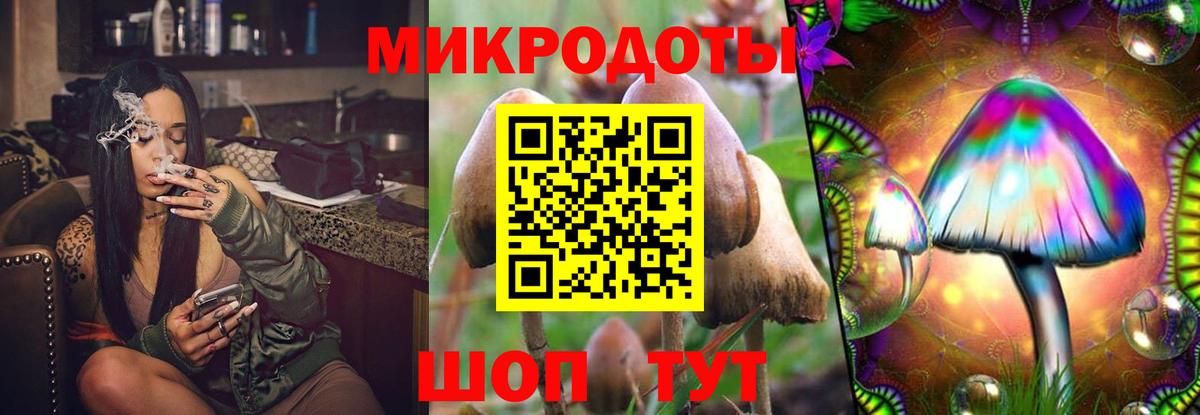 Галлюциногенные грибы Psilocybine cubensis Морозовск