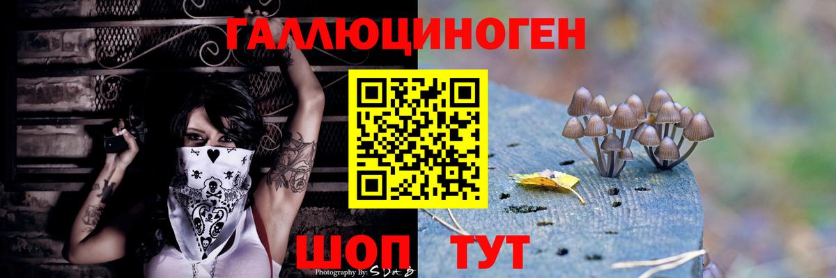 Морозовск  Галлюциногенные грибы Psilocybe  Псилоцибиновые грибы Psilocybe  Вход с VPN 