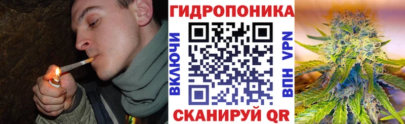 купить закладку  Морозовск  Бошки марихуана White Widow 